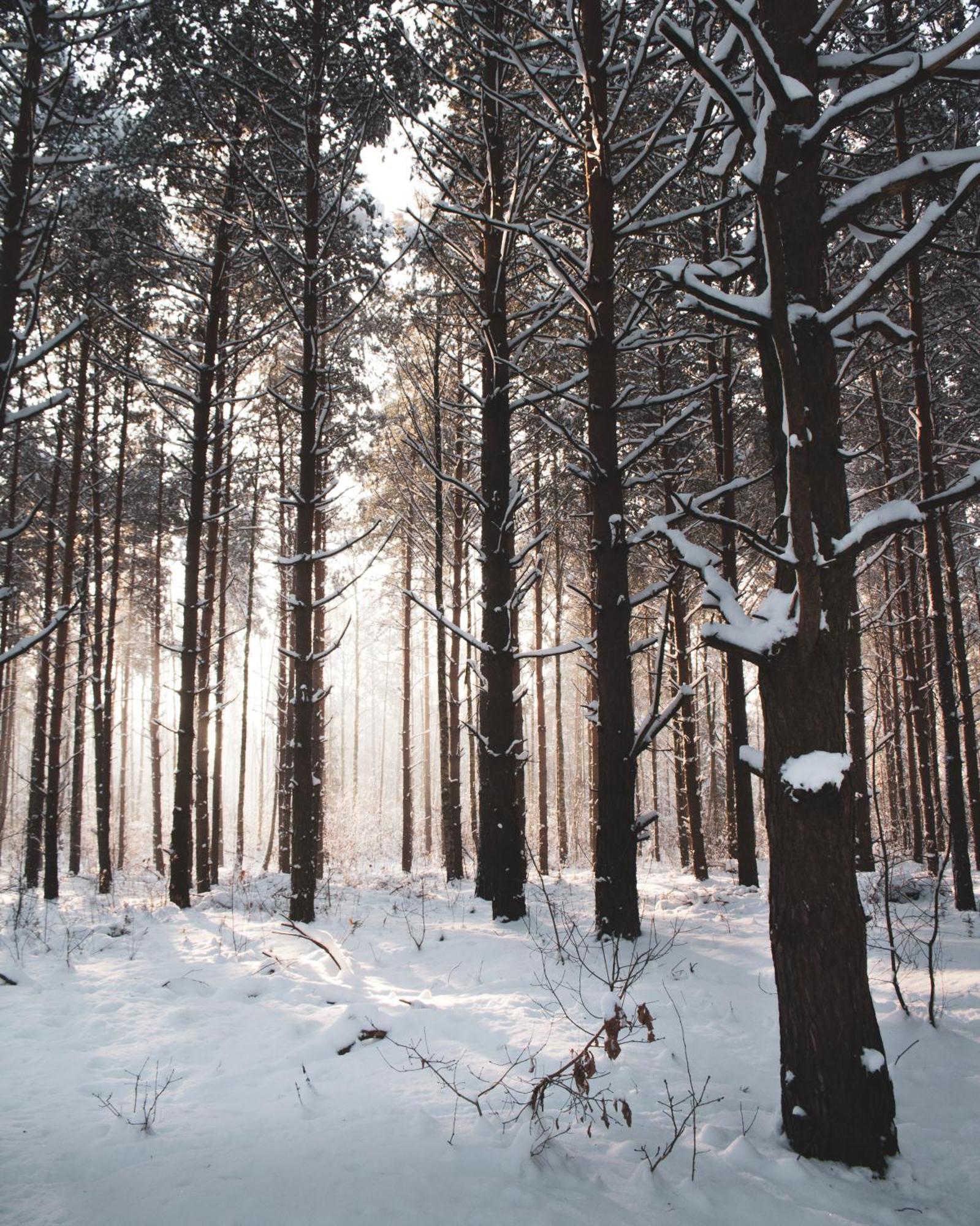 Luka Lesna 21 Dom Poludnie Przy Puszcza Bialowieska מראה חיצוני תמונה